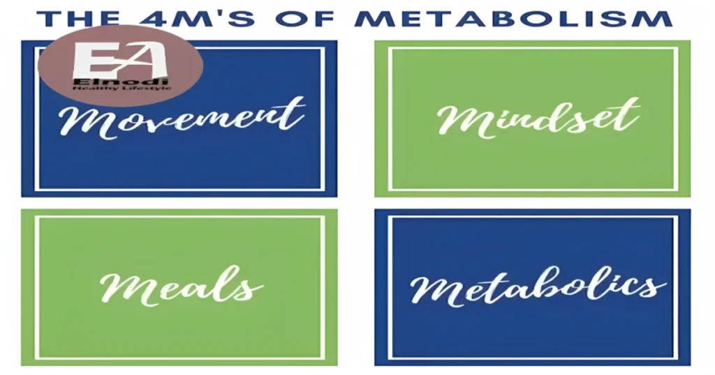 metabolic renewal exercises