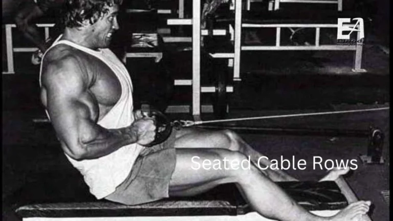 seated cable rows