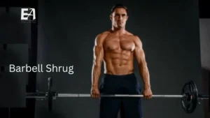 barbell shrug