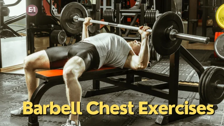 Barbell Chest Exercises