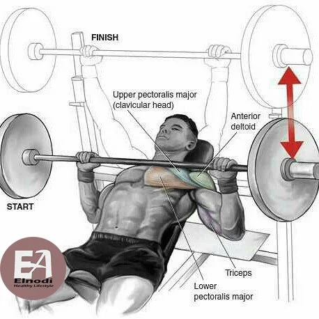 Incline Barbell Bench Press Instructions