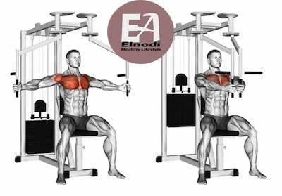 Chest-Seated Pec Fly Machine