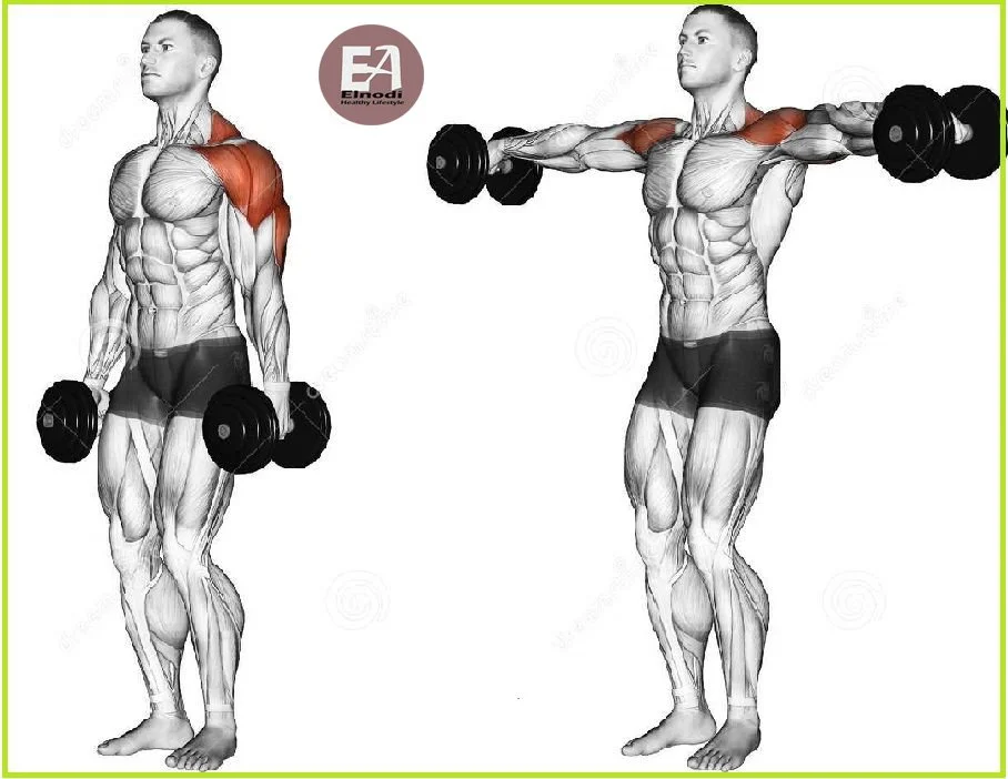 Lateral Raise
