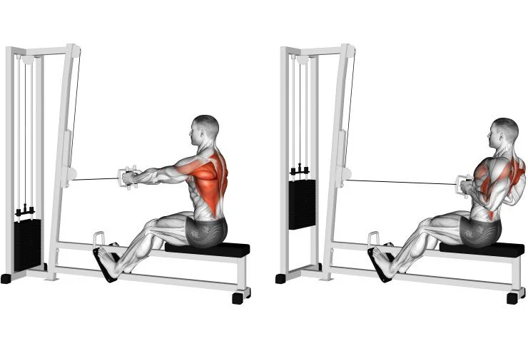 how to do Seated Cable Rows