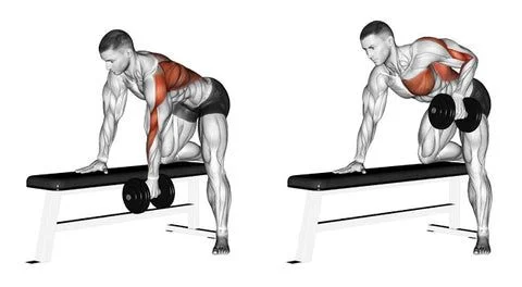  Dumbbell Row to Hip