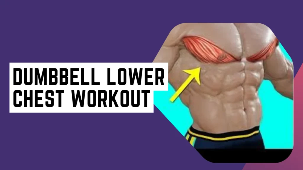 dumbbell lower chest workout