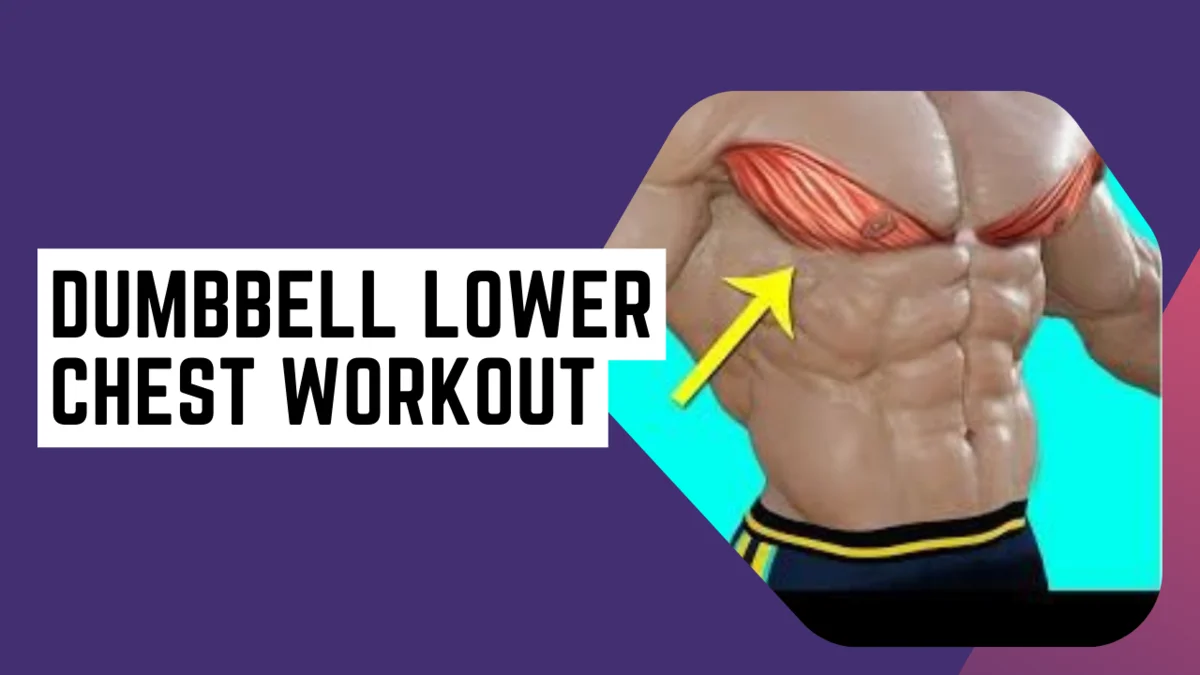 dumbbell lower chest workout