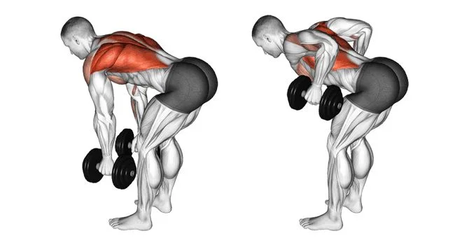 Bent-Over Dumbbell Rows