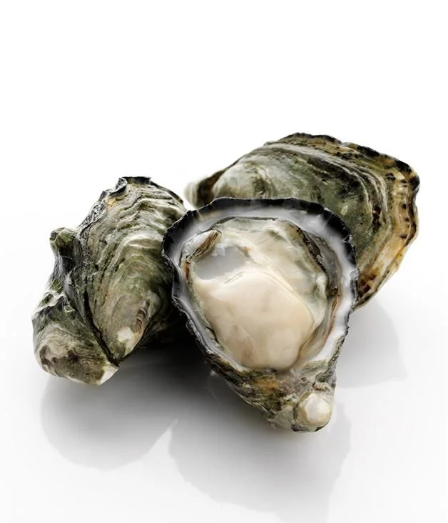 Oysters 
