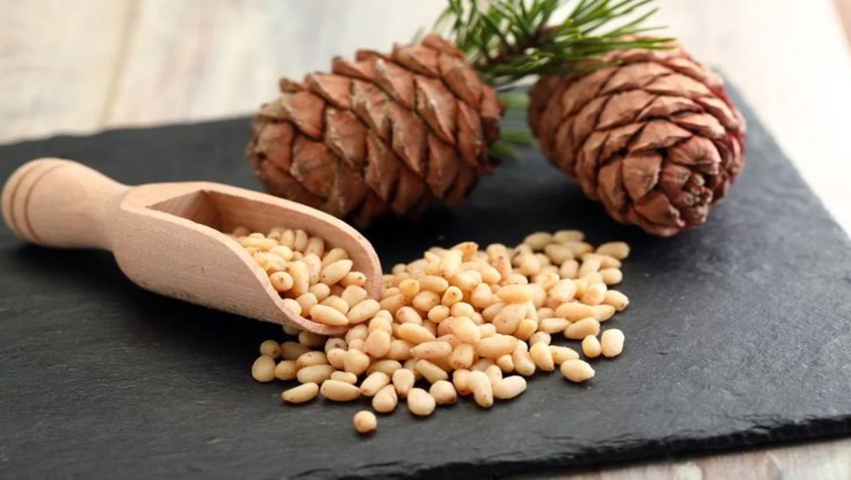 Pine Nuts Benefits