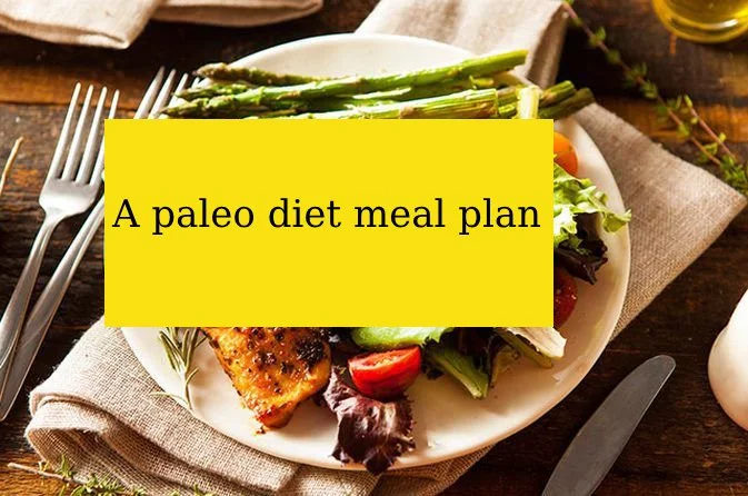 A paleo diet meal plan