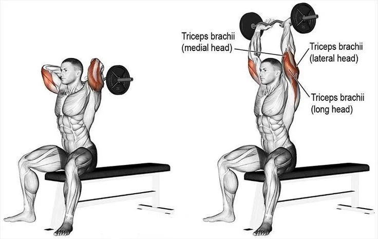 Overhead Triceps Extension