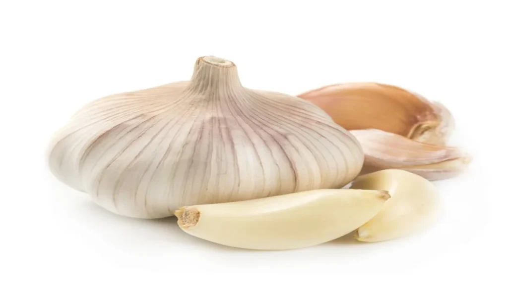 Benefits of Garlic