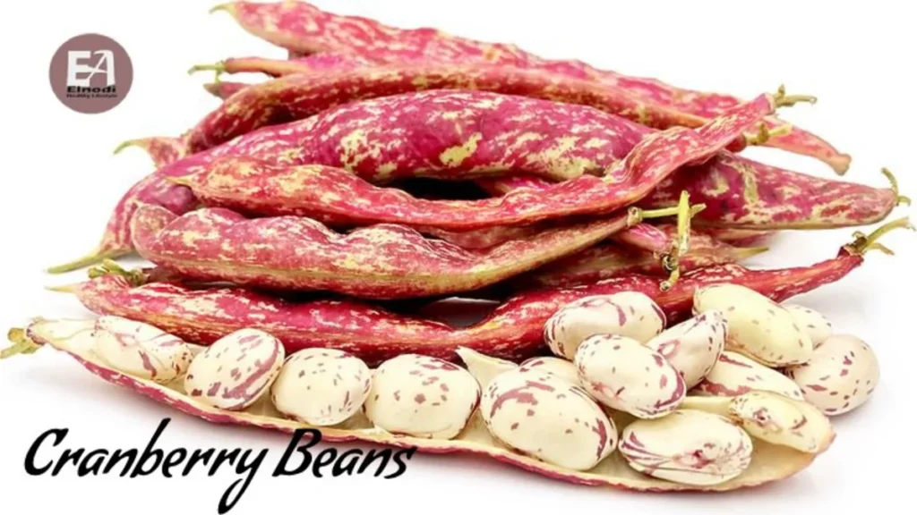 Cranberry Beans