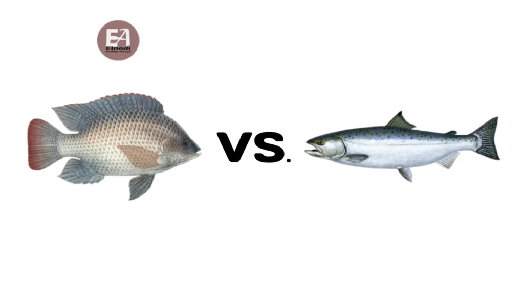 salmon or tilapia