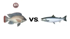 salmon or tilapia