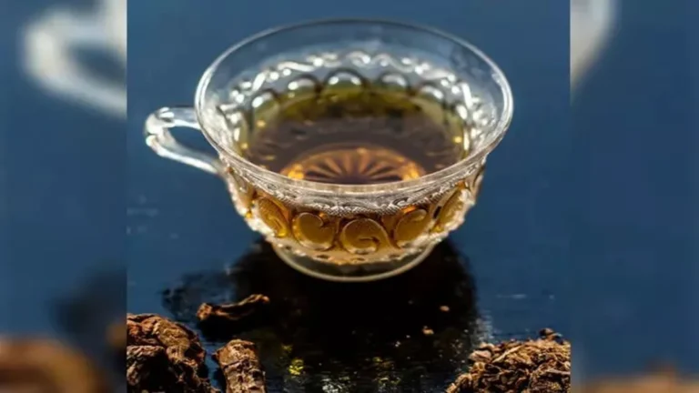 Sarsaparilla Tea Benefits