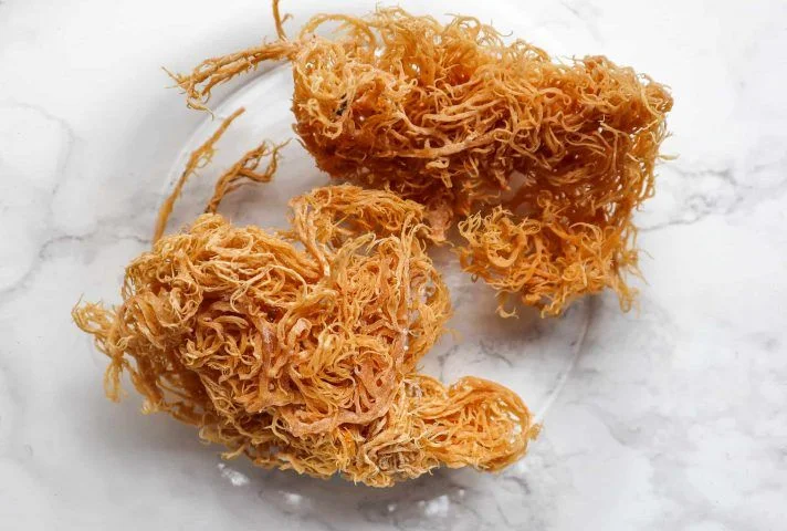 Sea Moss