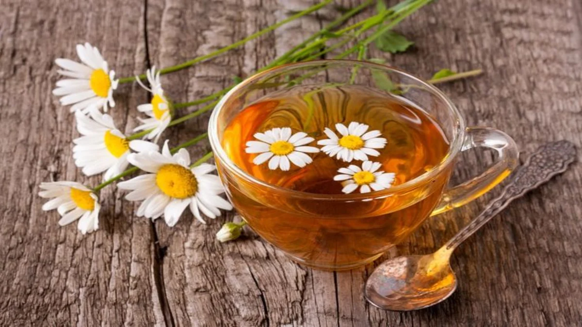 Chamomile tea is a famous herbal medicine with calming and soothing qualities. But did you realize that this modest tea has many health benefits?
